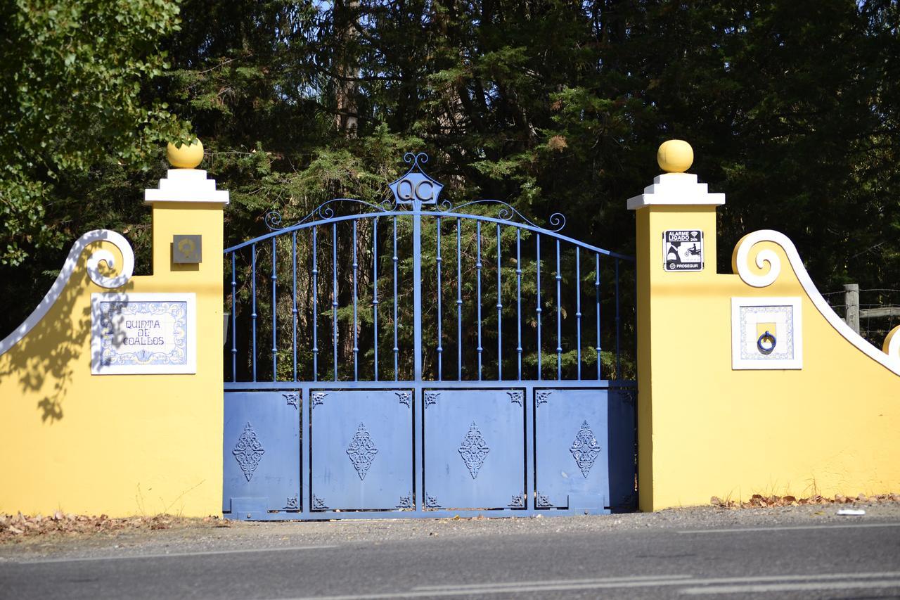 Quinta De Coalhos Th Villa Абрантес Екстериор снимка