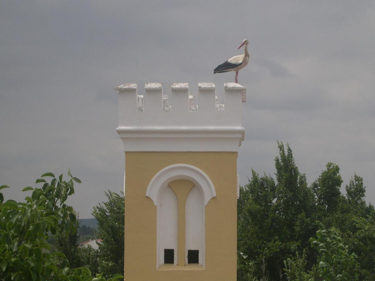 Quinta De Coalhos Th Villa Абрантес Екстериор снимка